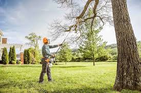 Best Emergency Tree Removal  in World Golf Village, FL